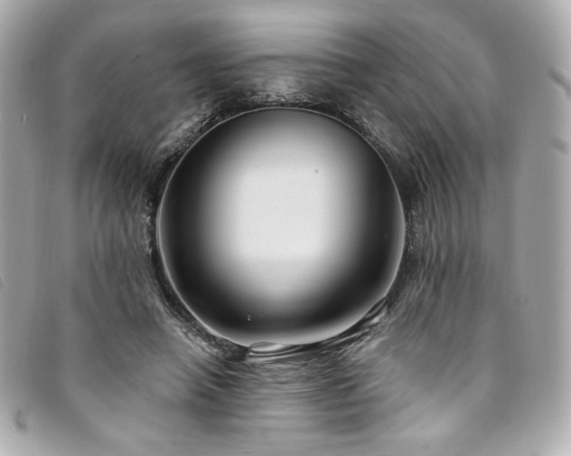 X0000094230450200710261259