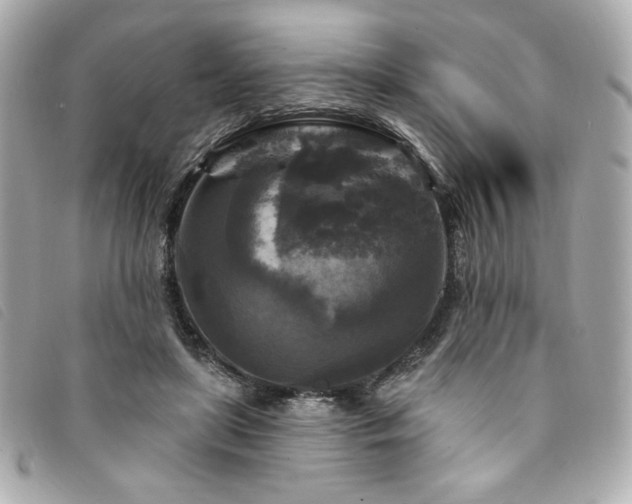 X0000094230451200710261259