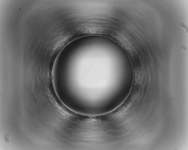 X0000094230453200710261259