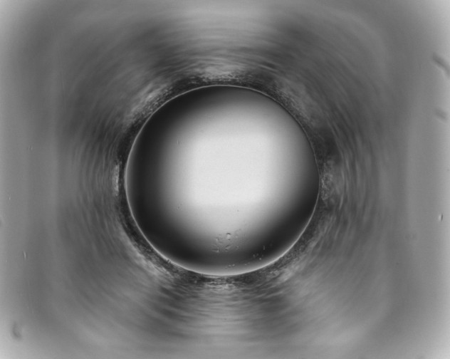 X0000094230454200710261259