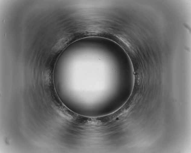 X0000094230455200710261259