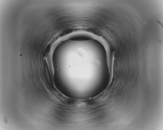 X0000094230456200710261259