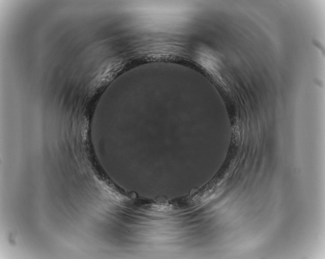X0000094230458200710261259