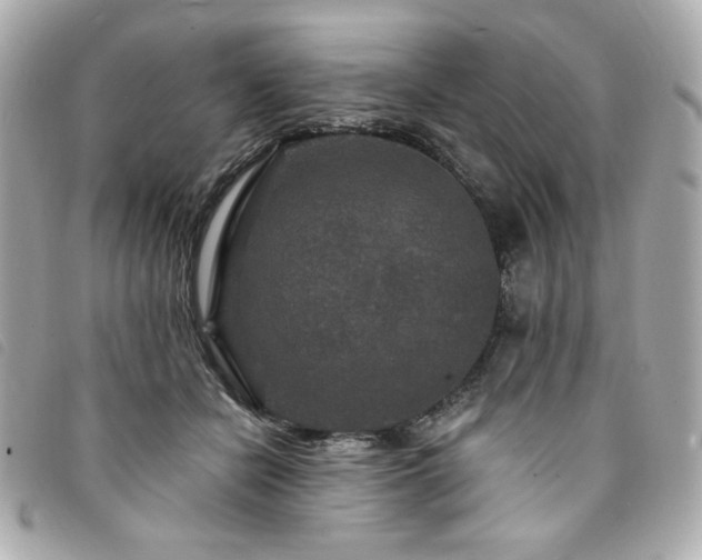 X0000094230462200710261259