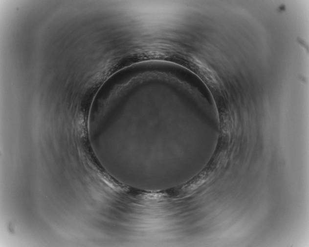 X0000094230465200710261259