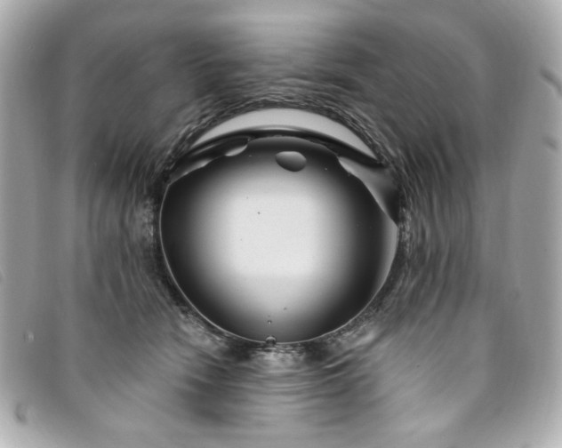 X0000094230466200710261259