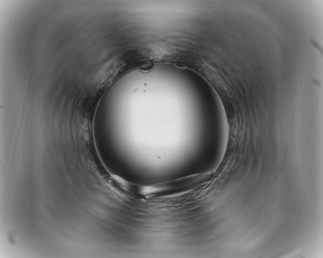 X0000094230470200710261259