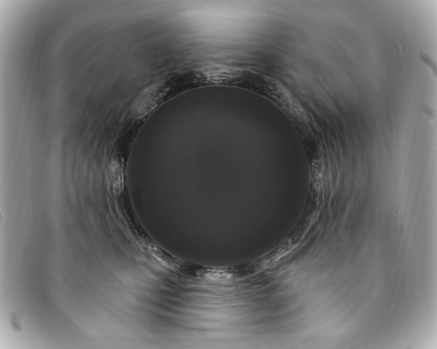 X0000094230471200710261259