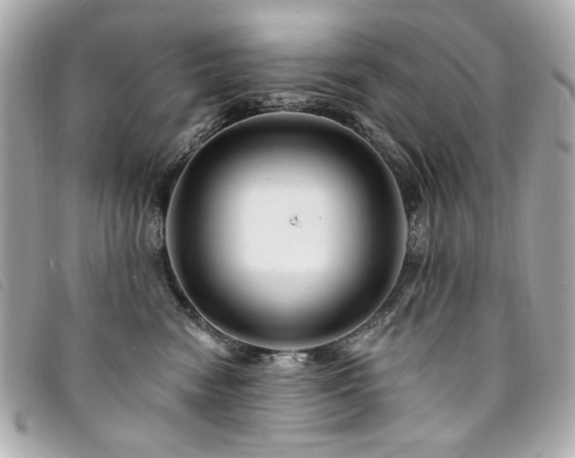 X0000094230474200710261259
