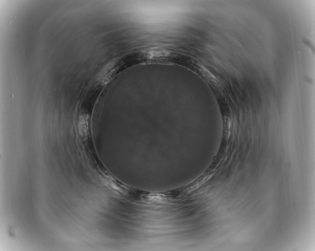 X0000094230475200710261259