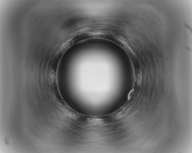 X0000094230476200710261259