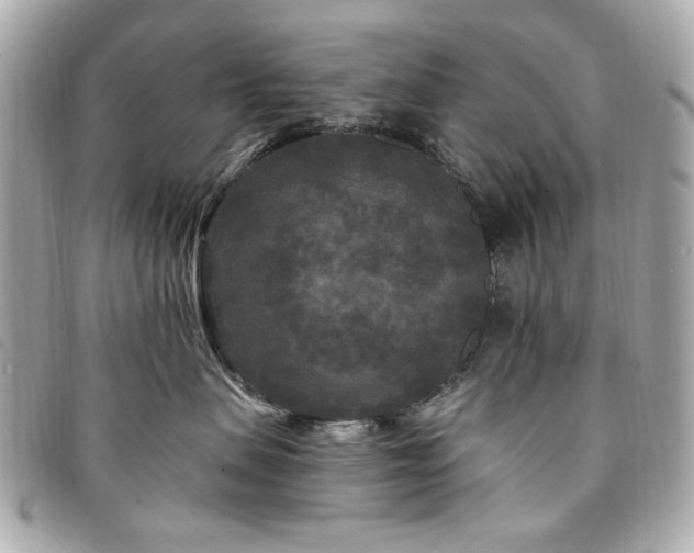 X0000094230479200710261300