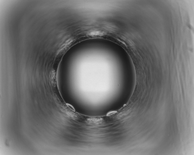 X0000094230480200710261300