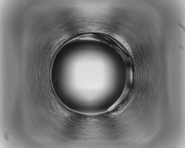 X0000094230481200710261259