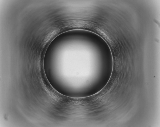 X0000094230482200710261259