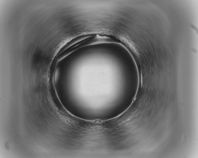 X0000094230483200710261259