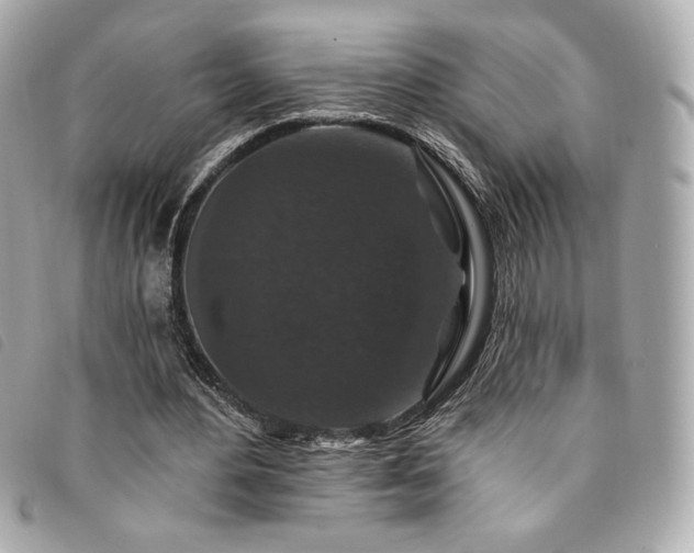 X0000094230484200710261259