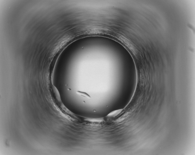 X0000094230485200710261259