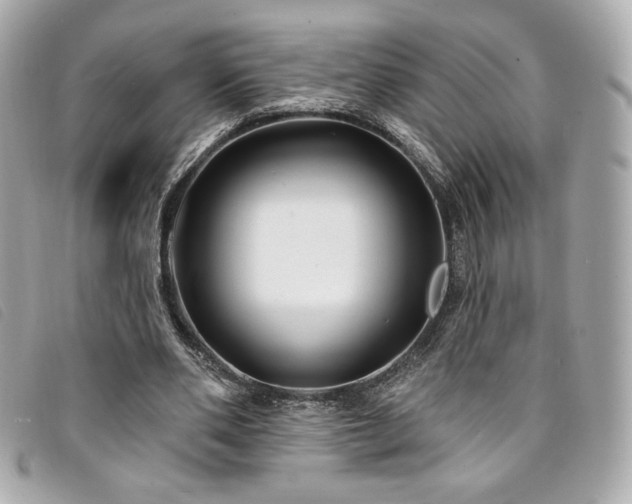X0000094230486200710261259