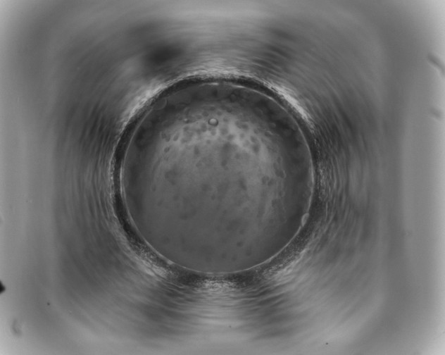 X0000094230487200710261259