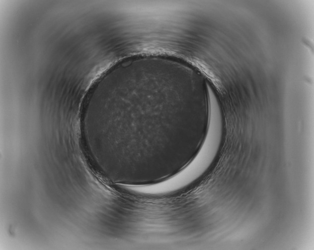 X0000094230488200710261259