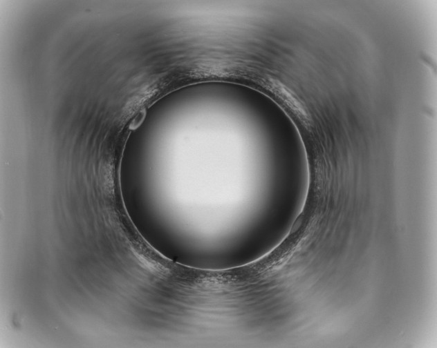 X0000094230489200710261259