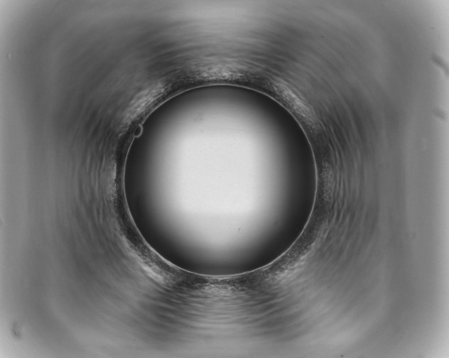 X0000094230490200710261259