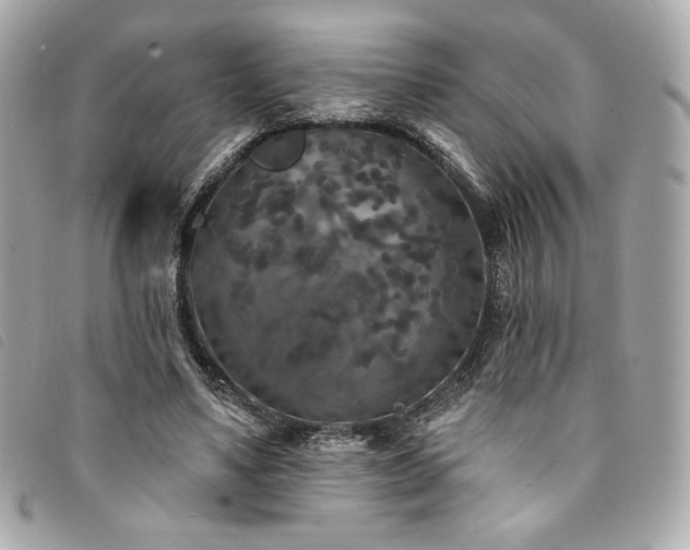 X0000094230491200710261259