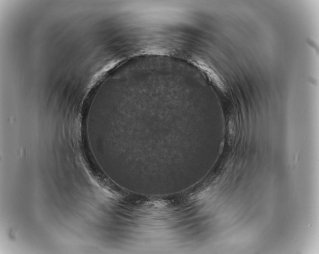 X0000094230492200710261259