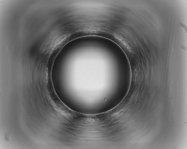 X0000094230494200710261259