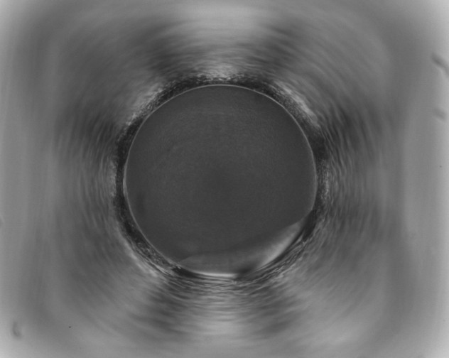 X0000094230496200710261259