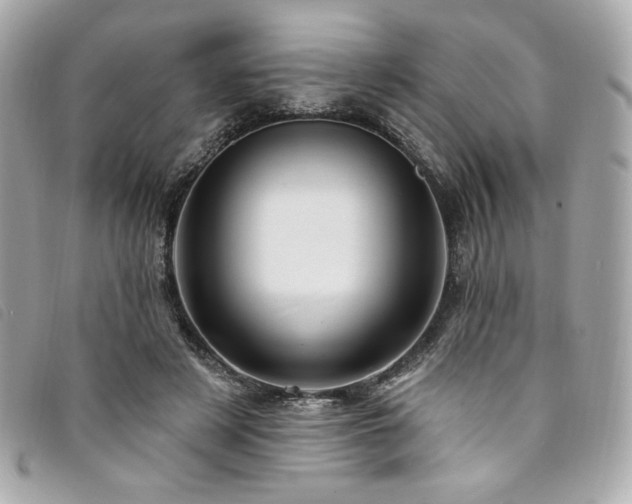 X0000094230497200710261259