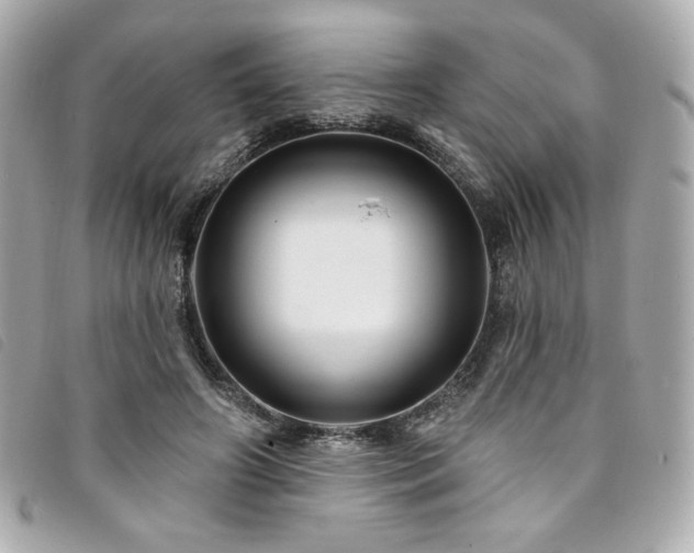 X0000094230498200710261259