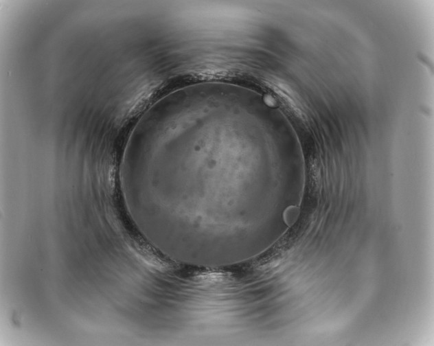 X0000094230499200710261259