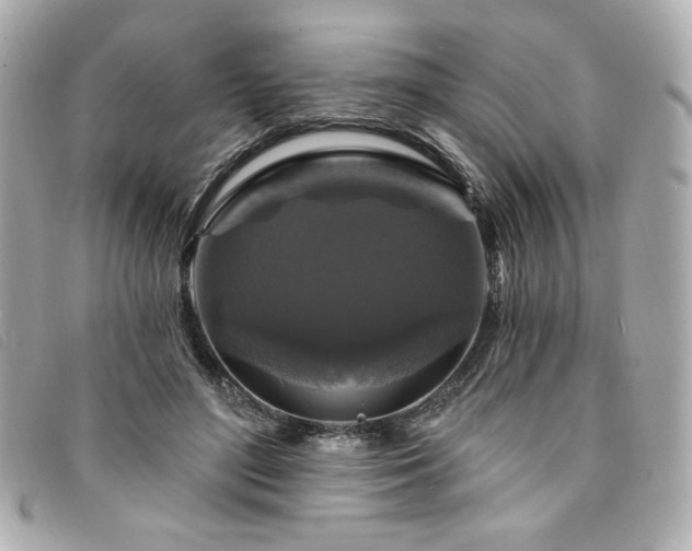 X0000094230500200710261259