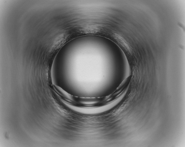 X0000094230501200710261259