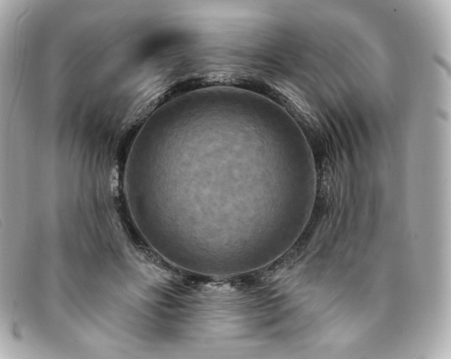 X0000094230502200710261259