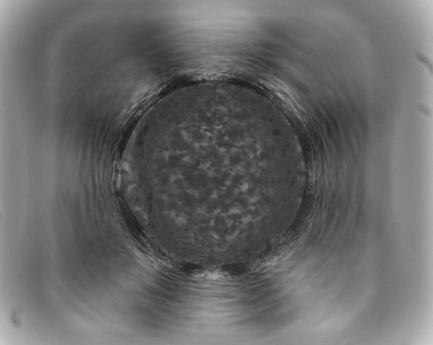 X0000094230503200710261259