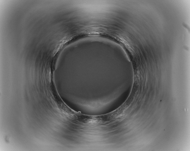 X0000094230504200710261259