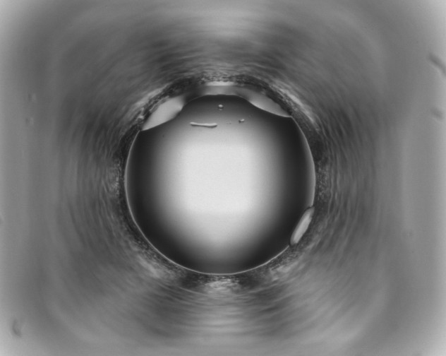 X0000094230505200710261259