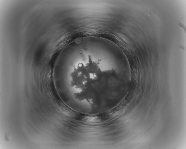 X0000094230507200710261259