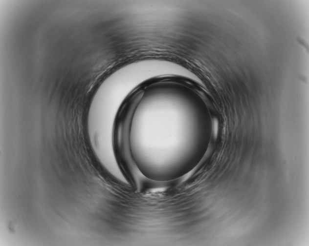 X0000094230508200710261259