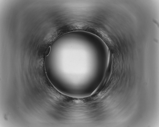 X0000094230509200710261259