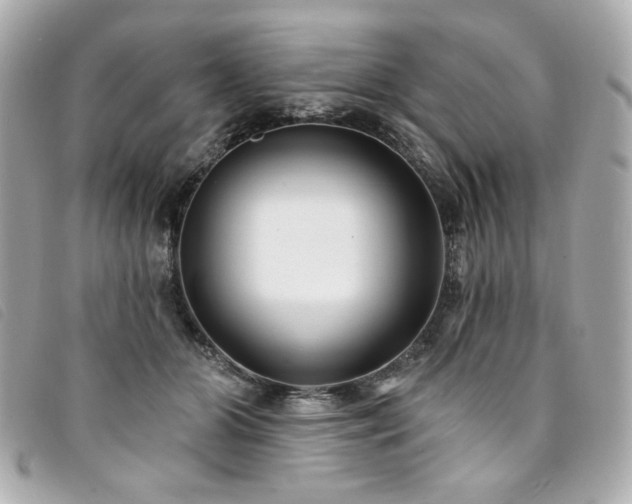 X0000094230510200710261259