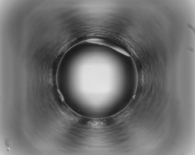 X0000094230512200710261259