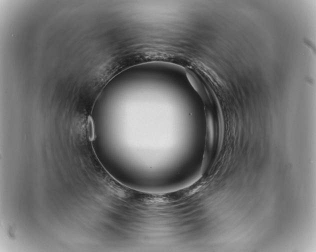 X0000094230513200710261259