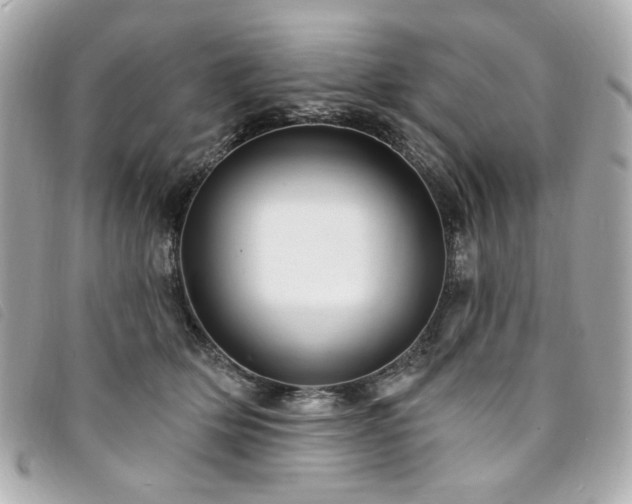 X0000094230514200710261259