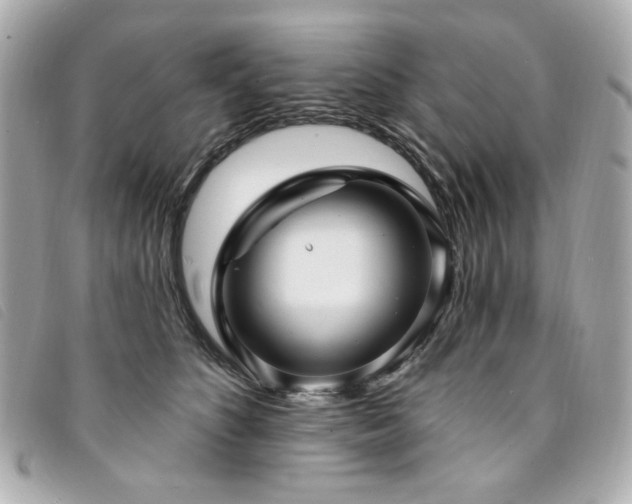 X0000094230516200710261259
