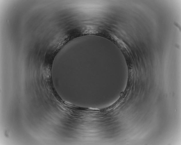 X0000094230517200710261259