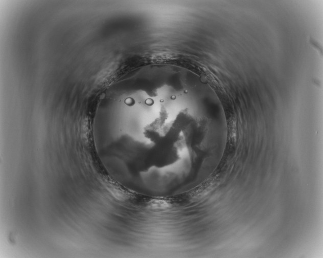 X0000094230519200710261259